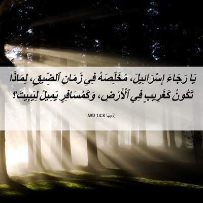 Picture 06 - إِرْمِيَا 14:8 AVD - يَا رَجَاءَ إِسْرَائِيلَ، - Bible Verse Picture