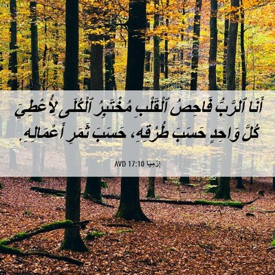 Picture 06 - إِرْمِيَا 17:10 AVD - أَنَا ٱلرَّبُّ فَاحِصُ - Bible Verse Picture