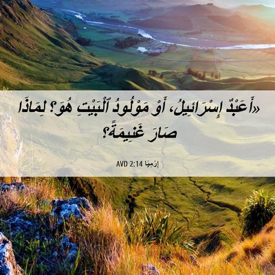 Picture 06 - إِرْمِيَا 2:14 AVD - «أَعَبْدٌ إِسْرَائِيلُ، - Bible Verse Picture