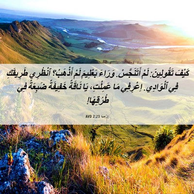 Picture 06 - إِرْمِيَا 2:23 AVD - كَيْفَ تَقُولِينَ: لَمْ - Bible Verse Picture