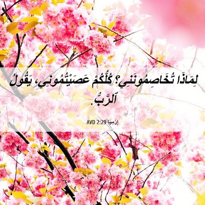 Picture 06 - إِرْمِيَا 2:29 AVD - لِمَاذَا تُخَاصِمُونَنِي؟ - Bible Verse Picture