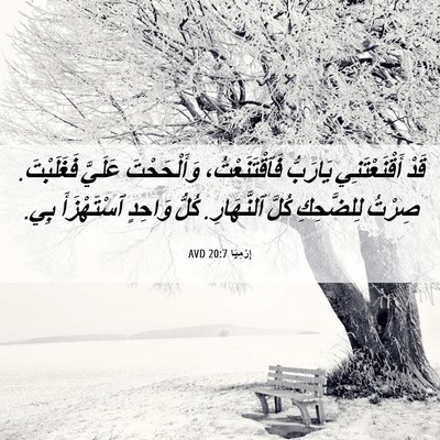 Picture 06 - إِرْمِيَا 20:7 AVD - قَدْ أَقْنَعْتَنِي - Bible Verse Picture