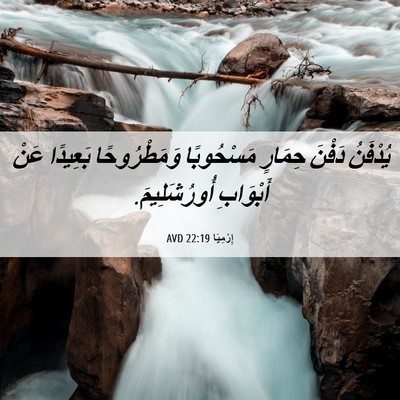 Picture 06 - إِرْمِيَا 22:19 AVD - يُدْفَنُ دَفْنَ حِمَارٍ - Bible Verse Picture
