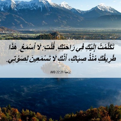 Picture 06 - إِرْمِيَا 22:21 AVD - تَكَلَّمْتُ إِلَيْكِ فِي - Bible Verse Picture