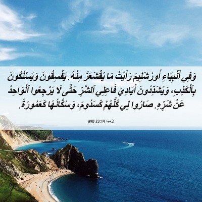 Picture 06 - إِرْمِيَا 23:14 AVD - وَفِي أَنْبِيَاءِ - Bible Verse Picture