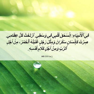 Picture 06 - إِرْمِيَا 23:9 AVD - فِي ٱلْأَنْبِيَاءِ: - Bible Verse Picture