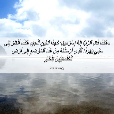 Picture 06 - إِرْمِيَا 24:5 AVD - «هَكَذَا قَالَ ٱلرَّبُّ - Bible Verse Picture