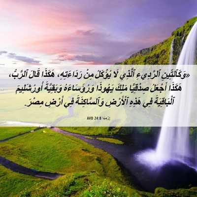Picture 06 - إِرْمِيَا 24:8 AVD - «وَكَٱلتِّينِ ٱلرَّدِيءِ - Bible Verse Picture