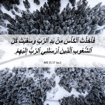 Picture 06 - إِرْمِيَا 25:17 AVD - فَأَخَذْتُ ٱلْكَأْسَ مِنْ - Bible Verse Picture