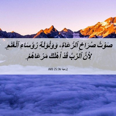 Picture 06 - إِرْمِيَا 25:36 AVD - صَوْتُ صُرَاخِ - Bible Verse Picture