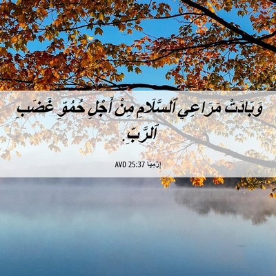 Picture 06 - إِرْمِيَا 25:37 AVD - وَبَادَتْ مَرَاعِي - Bible Verse Picture