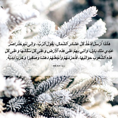 Picture 06 - إِرْمِيَا 25:9 AVD - هَأَنَذَا أُرْسِلُ - Bible Verse Picture