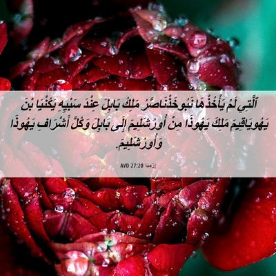 Picture 06 - إِرْمِيَا 27:20 AVD - ٱلَّتِي لَمْ يَأْخُذْهَا - Bible Verse Picture