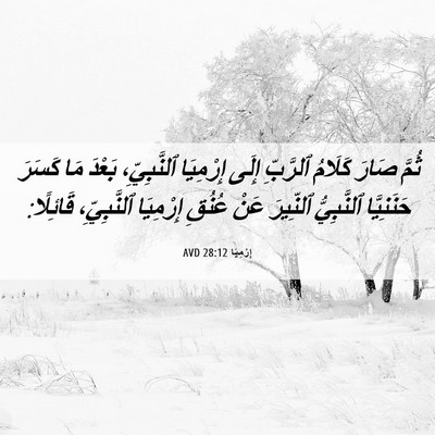 Picture 06 - إِرْمِيَا 28:12 AVD - ثُمَّ صَارَ كَلَامُ - Bible Verse Picture