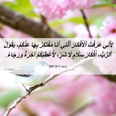 Picture 06 - إِرْمِيَا 29:11 AVD - لِأَنِّي عَرَفْتُ - Bible Verse Picture