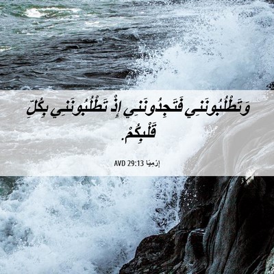 Picture 06 - إِرْمِيَا 29:13 AVD - وَتَطْلُبُونَنِي - Bible Verse Picture