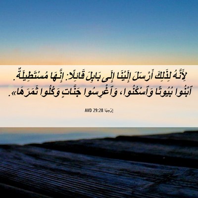 Picture 06 - إِرْمِيَا 29:28 AVD - لِأَنَّهُ لِذَلِكَ - Bible Verse Picture