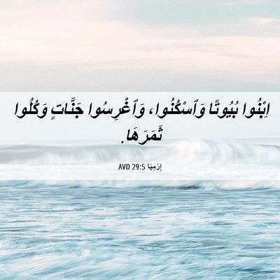 Picture 06 - إِرْمِيَا 29:5 AVD - اِبْنُوا بُيُوتًا - Bible Verse Picture