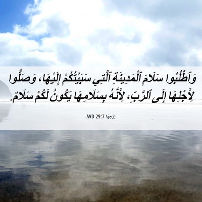 Picture 06 - إِرْمِيَا 29:7 AVD - وَٱطْلُبُوا سَلَامَ - Bible Verse Picture