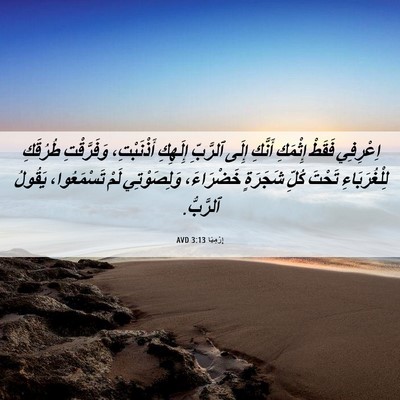 Picture 06 - إِرْمِيَا 3:13 AVD - اِعْرِفِي فَقَطْ إِثْمَكِ - Bible Verse Picture
