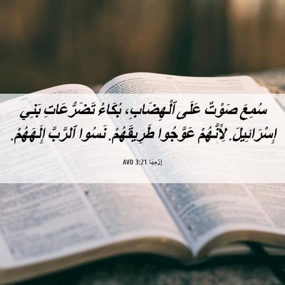 Picture 06 - إِرْمِيَا 3:21 AVD - سُمِعَ صَوْتٌ عَلَى - Bible Verse Picture