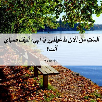 Picture 06 - إِرْمِيَا 3:4 AVD - أَلَسْتِ مِنَ ٱلْآنَ - Bible Verse Picture