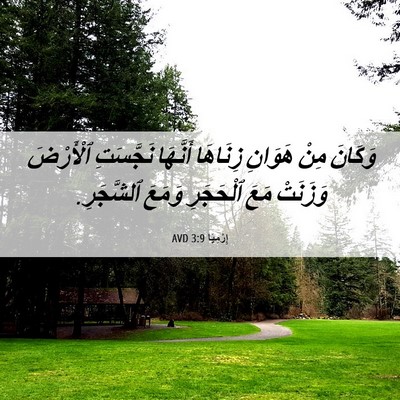 Picture 06 - إِرْمِيَا 3:9 AVD - وَكَانَ مِنْ هَوَانِ - Bible Verse Picture