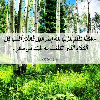 Picture 06 - إِرْمِيَا 30:2 AVD - «هَكَذَا تَكَلَّمَ - Bible Verse Picture