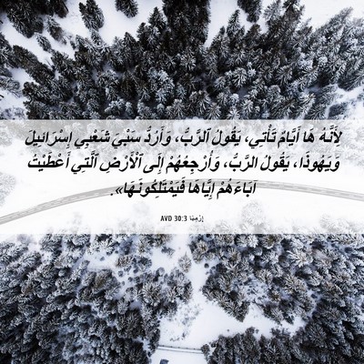 Picture 06 - إِرْمِيَا 30:3 AVD - لِأَنَّهُ هَا أَيَّامٌ - Bible Verse Picture