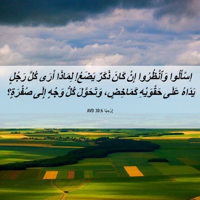 Picture 06 - إِرْمِيَا 30:6 AVD - اِسْأَلُوا وَٱنْظُرُوا - Bible Verse Picture
