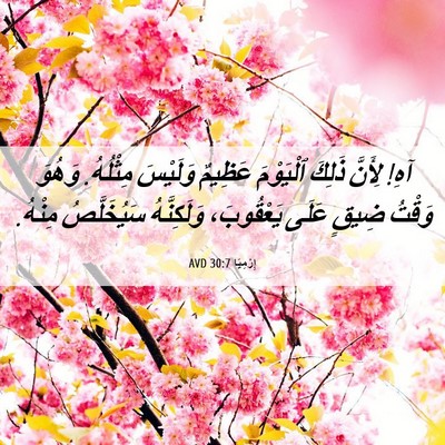 Picture 06 - إِرْمِيَا 30:7 AVD - آهِ! لِأَنَّ ذَلِكَ - Bible Verse Picture