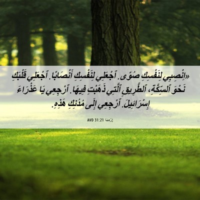 Picture 06 - إِرْمِيَا 31:21 AVD - «اِنْصِبِي لِنَفْسِكِ - Bible Verse Picture