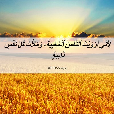 Picture 06 - إِرْمِيَا 31:25 AVD - لِأَنِّي أَرْوَيْتُ - Bible Verse Picture