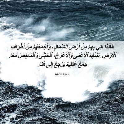 Picture 06 - إِرْمِيَا 31:8 AVD - هَأَنَذَا آتِي بِهِمْ مِنْ - Bible Verse Picture