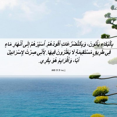 Picture 06 - إِرْمِيَا 31:9 AVD - بِٱلْبُكَاءِ يَأْتُونَ، - Bible Verse Picture