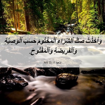 Picture 06 - إِرْمِيَا 32:11 AVD - وَأَخَذْتُ صَكَّ - Bible Verse Picture