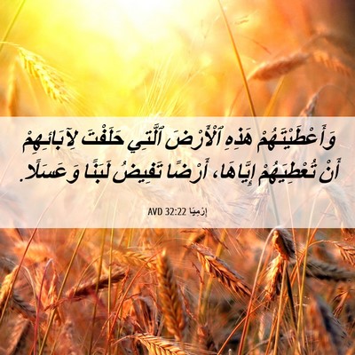 Picture 06 - إِرْمِيَا 32:22 AVD - وَأَعْطَيْتَهُمْ هَذِهِ - Bible Verse Picture