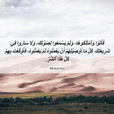 Picture 06 - إِرْمِيَا 32:23 AVD - فَأَتَوْا - Bible Verse Picture