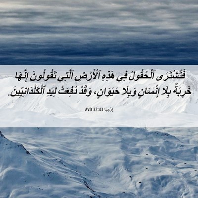 Picture 06 - إِرْمِيَا 32:43 AVD - فَتُشْتَرَى ٱلْحُقُولُ - Bible Verse Picture