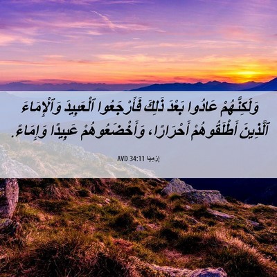 Picture 06 - إِرْمِيَا 34:11 AVD - وَلَكِنَّهُمْ عَادُوا - Bible Verse Picture