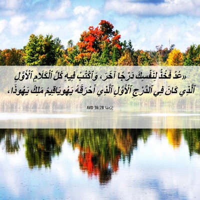 Picture 06 - إِرْمِيَا 36:28 AVD - «عُدْ فَخُذْ لِنَفْسِكَ - Bible Verse Picture