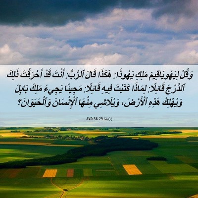 Picture 06 - إِرْمِيَا 36:29 AVD - وَقُلْ لِيَهُويَاقِيمَ - Bible Verse Picture