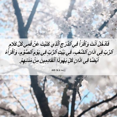 Picture 06 - إِرْمِيَا 36:6 AVD - فَٱدْخُلْ أَنْتَ - Bible Verse Picture