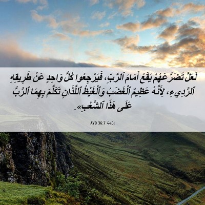 Picture 06 - إِرْمِيَا 36:7 AVD - لَعَلَّ تَضَرُّعَهُمْ - Bible Verse Picture