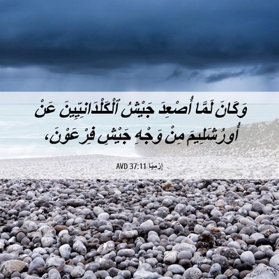 Picture 06 - إِرْمِيَا 37:11 AVD - وَكَانَ لَمَّا أُصْعِدَ - Bible Verse Picture
