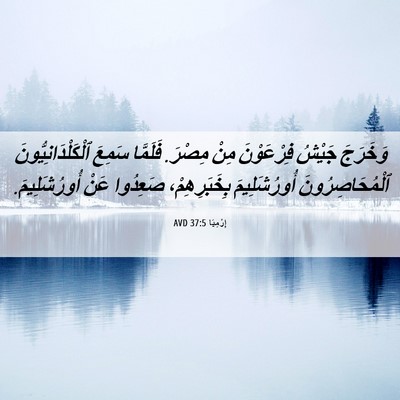 Picture 06 - إِرْمِيَا 37:5 AVD - وَخَرَجَ جَيْشُ - Bible Verse Picture