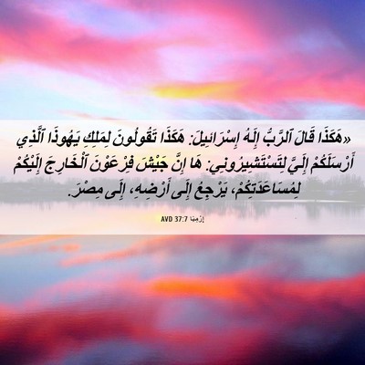 Picture 06 - إِرْمِيَا 37:7 AVD - «هَكَذَا قَالَ ٱلرَّبُّ - Bible Verse Picture