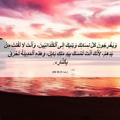 Picture 06 - إِرْمِيَا 38:23 AVD - وَيُخْرِجُونَ كُلَّ - Bible Verse Picture