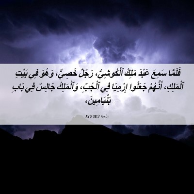 Picture 06 - إِرْمِيَا 38:7 AVD - فَلَمَّا سَمِعَ عَبْدَ - Bible Verse Picture