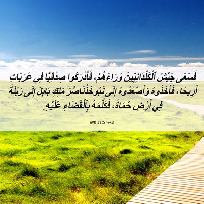 Picture 06 - إِرْمِيَا 39:5 AVD - فَسَعَى جَيْشُ - Bible Verse Picture